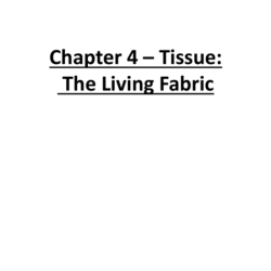 Chapter 4 tissue the living fabric