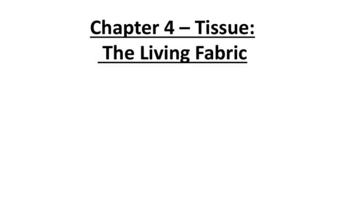 Chapter 4 tissue the living fabric