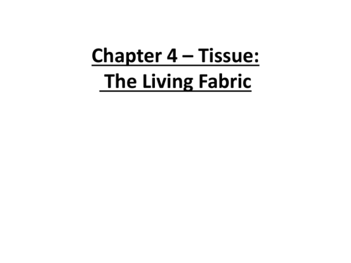 Chapter 4 tissue the living fabric