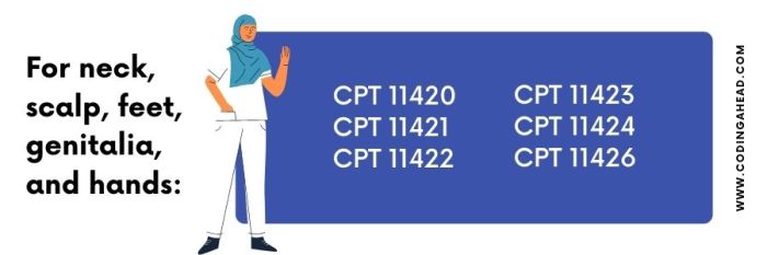 Cpt code for neuroma excision