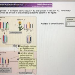 Genetics a conceptual approach 6th edition