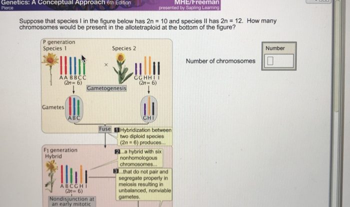 Genetics a conceptual approach 6th edition