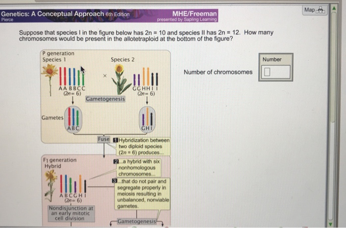 Genetics a conceptual approach 6th edition