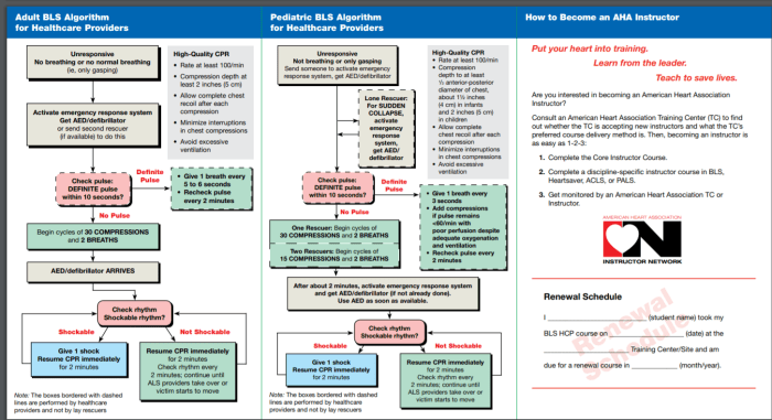 Aha bls skills testing checklist