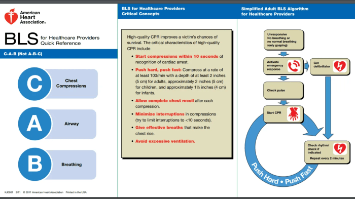 Aha bls skills testing checklist