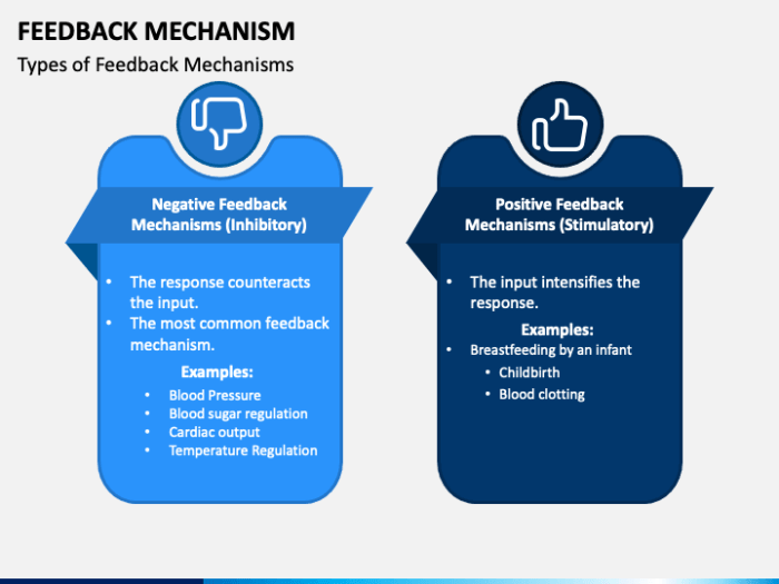 Pogil feedback mechanisms answer key