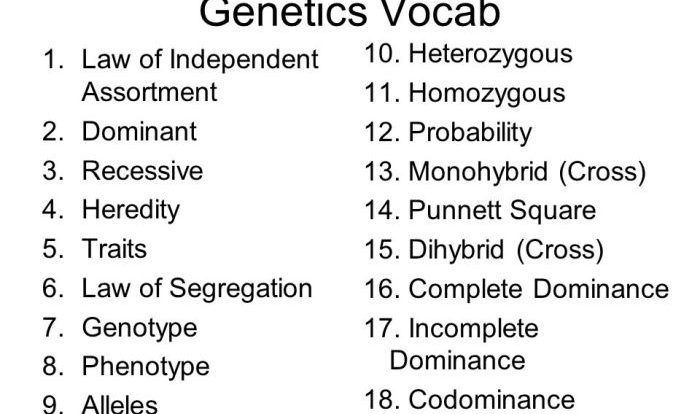 Probability and heredity answer key