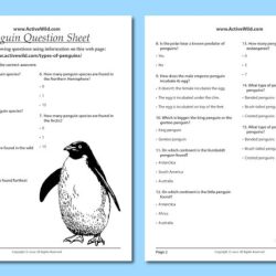 March of the penguins worksheet answers