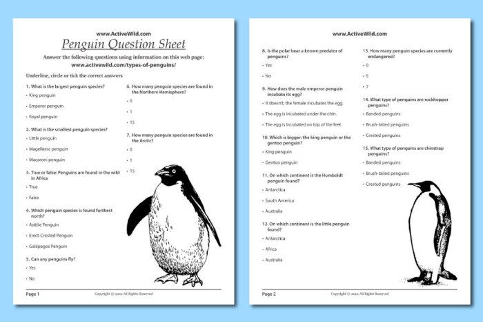 March of the penguins worksheet answers