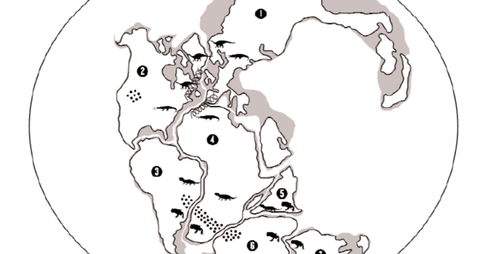 A plate tectonics puzzle answer key