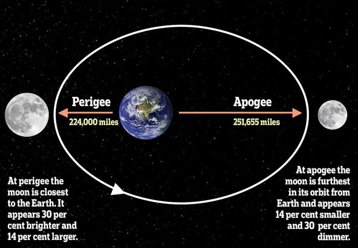 Earth is located at one blankof the moon's orbit