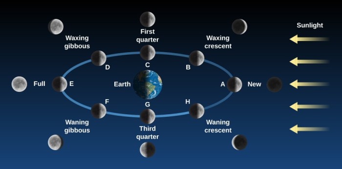 Earth is located at one blankof the moon's orbit