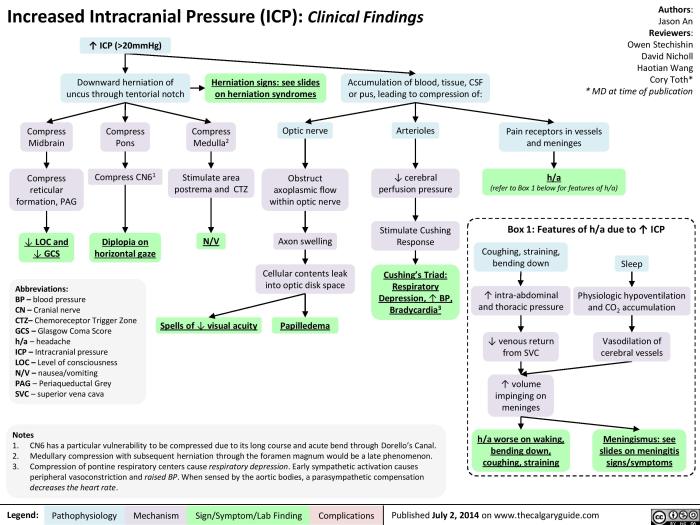 Nursing diagnosis increased intracranial pressure