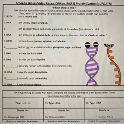 Reinforcement dna and rna answer key