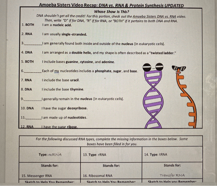 Reinforcement Dna And Rna Answer Key - alexus