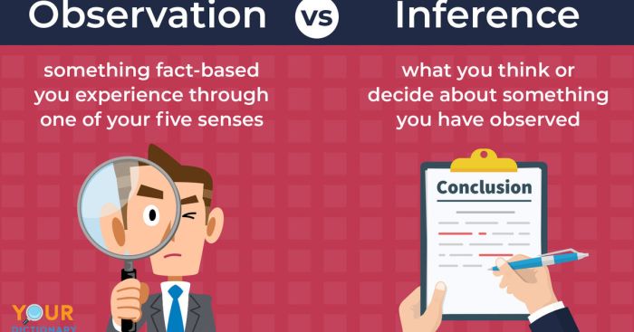 Observation vs inference worksheet with answers